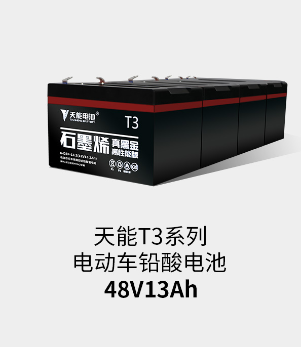 尊龙凯时T3系列48v13ah